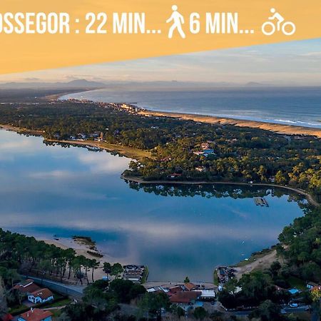 Hossegor - Vue Ocean - Plage - Couple - Famille سورت-هوسيغور المظهر الخارجي الصورة